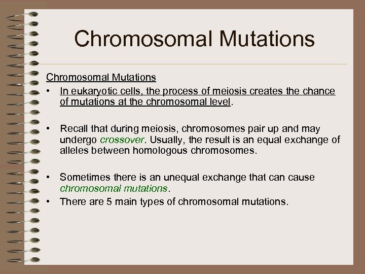Chromosomal Mutations • In eukaryotic cells, the process of meiosis creates the chance of