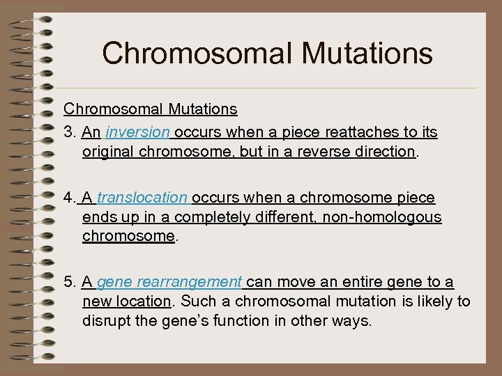 Chromosomal Mutations 3. An inversion occurs when a piece reattaches to its original chromosome,