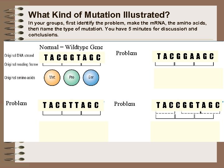 What Kind of Mutation Illustrated? In your groups, first identify the problem, make the
