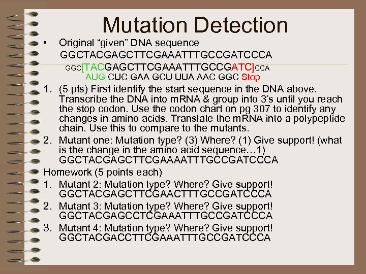  • Mutation Detection Original “given” DNA sequence GGCTACGAGCTTCGAAATTTGCCGATCCCA GGC[TACGAGCTTCGAAATTTGCCGATC]CCA AUG CUC GAA GCU