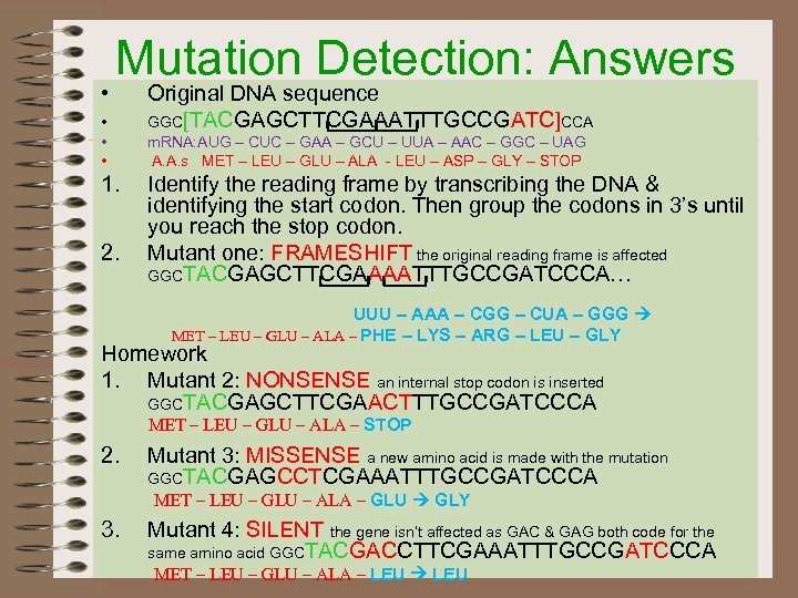  • Mutation Detection: Answers • • • 1. 2. Original DNA sequence GGC[TACGAGCTTCGAAATTTGCCGATC]CCA