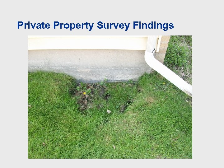 Private Property Survey Findings 