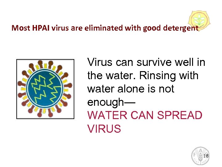 Most HPAI virus are eliminated with good detergent Virus can survive well in the
