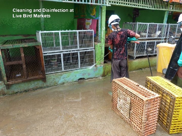 Cleaning and Disinfection at Live Bird Markets 