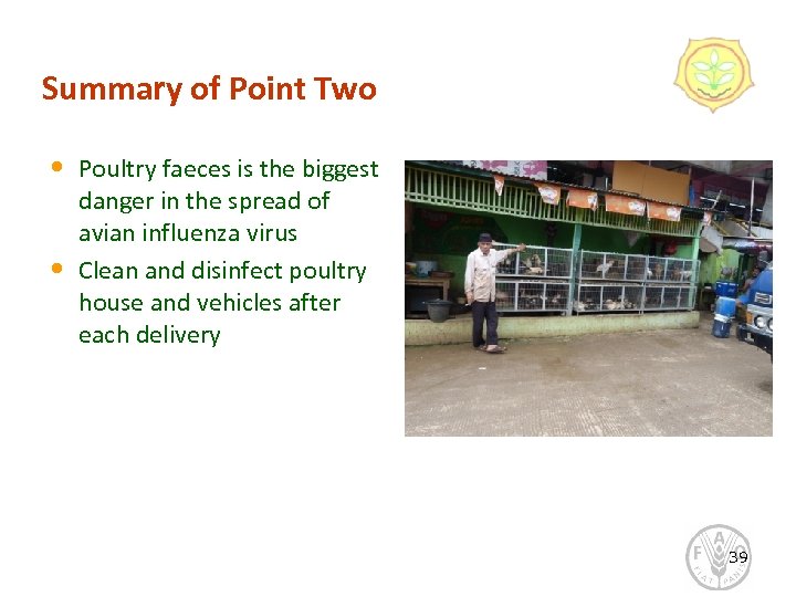 Summary of Point Two • • Poultry faeces is the biggest danger in the