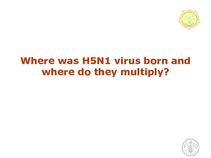 Where was H 5 N 1 virus born and where do they multiply? 