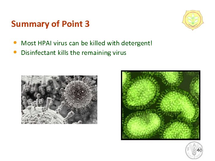 Summary of Point 3 • • Most HPAI virus can be killed with detergent!