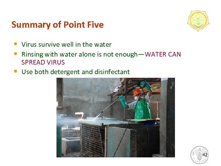 Summary of Point Five • • • Virus survive well in the water Rinsing
