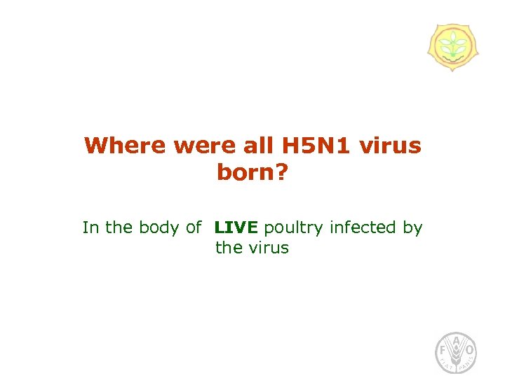 Where were all H 5 N 1 virus born? In the body of LIVE