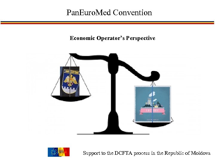 Pan. Euro. Med Convention Economic Operator’s Perspective Support to the DCFTA process in the