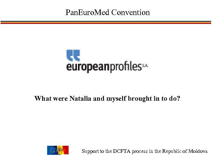 Pan. Euro. Med Convention What were Natalia and myself brought in to do? Support