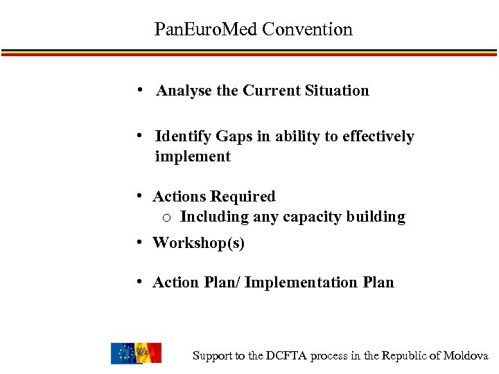 Pan. Euro. Med Convention • Analyse the Current Situation • Identify Gaps in ability