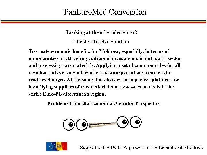 Pan. Euro. Med Convention Looking at the other element of: Effective Implementation To create
