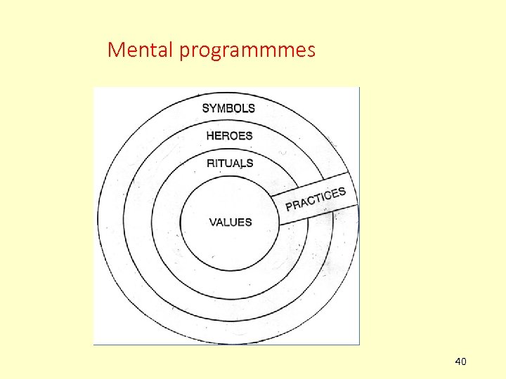 Mental programmmes 40 