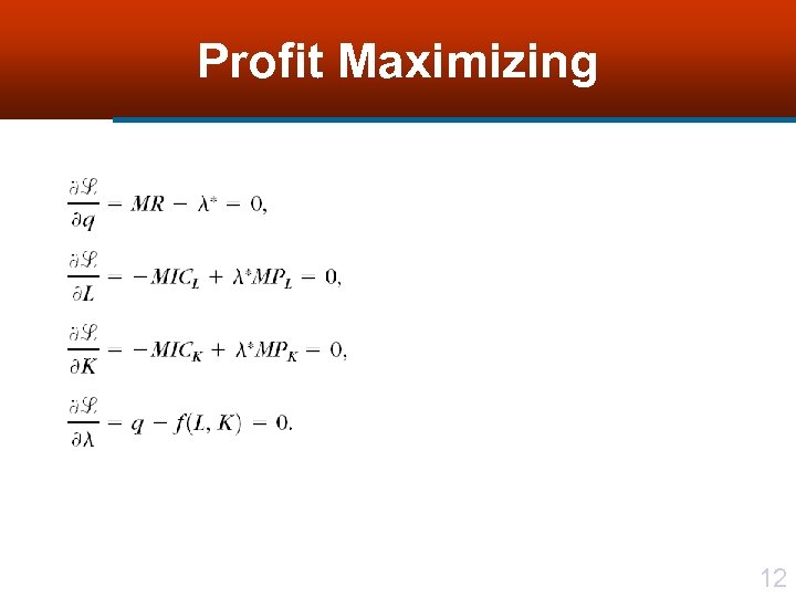 Profit Maximizing 12 