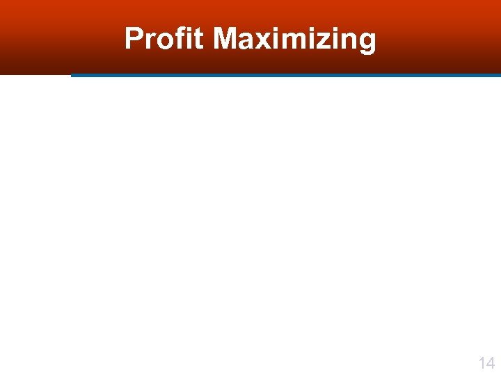 Profit Maximizing 14 