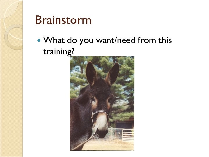 Brainstorm What do you want/need from this training? 