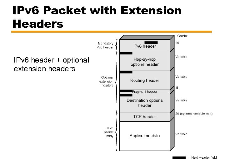 IPv 6 Packet with Extension Headers IPv 6 header + optional extension headers 