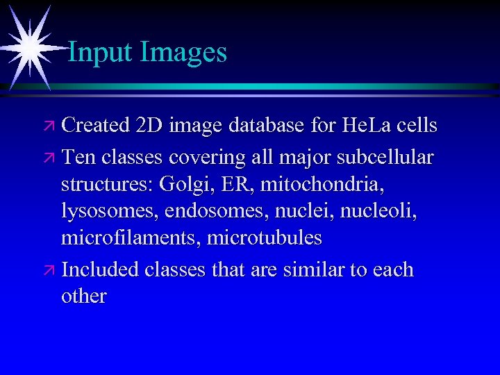 Input Images ä Created 2 D image database for He. La cells ä Ten