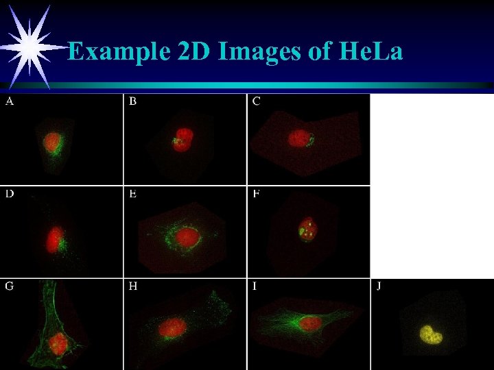 Example 2 D Images of He. La 