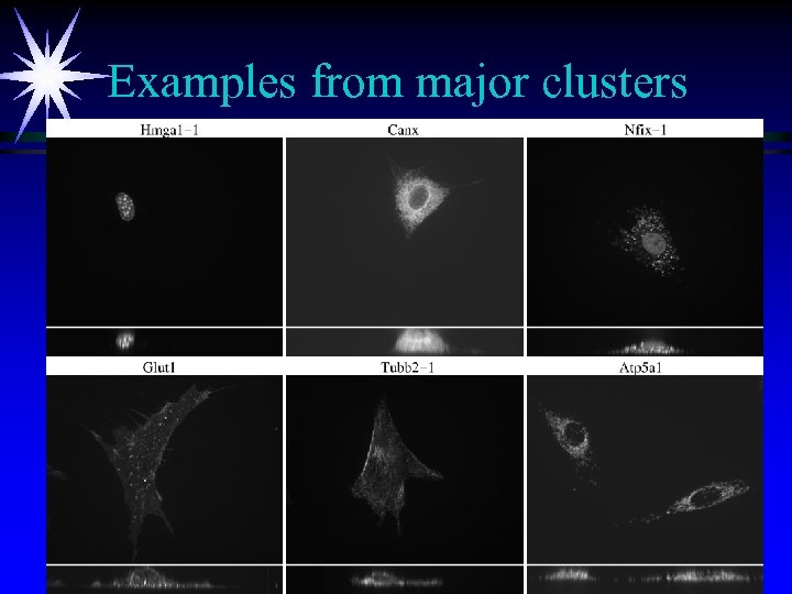 Examples from major clusters 