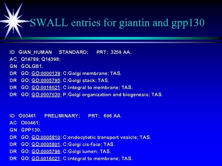 SWALL entries for giantin and gpp 130 ID AC GN DR DR GIAN_HUMAN STANDARD;