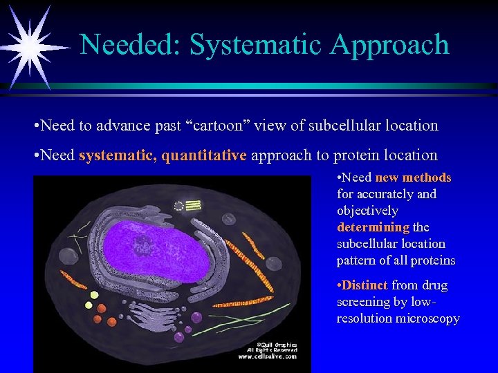 Needed: Systematic Approach • Need to advance past “cartoon” view of subcellular location •