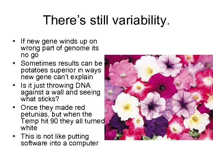 There’s still variability. • If new gene winds up on wrong part of genome