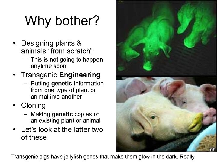 Why bother? • Designing plants & animals “from scratch” – This is not going