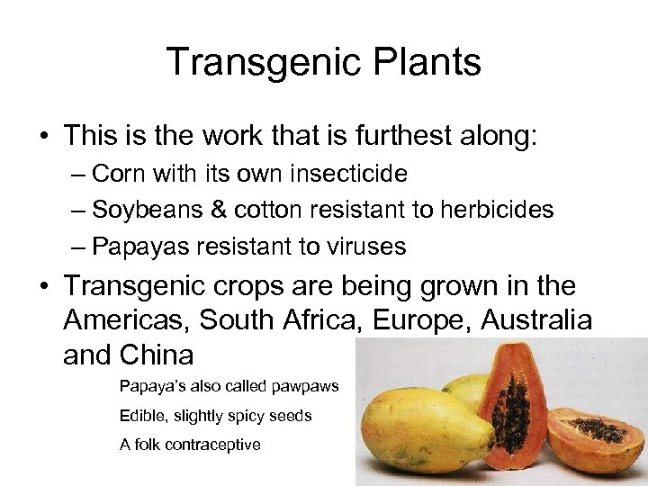 Transgenic Plants • This is the work that is furthest along: – Corn with