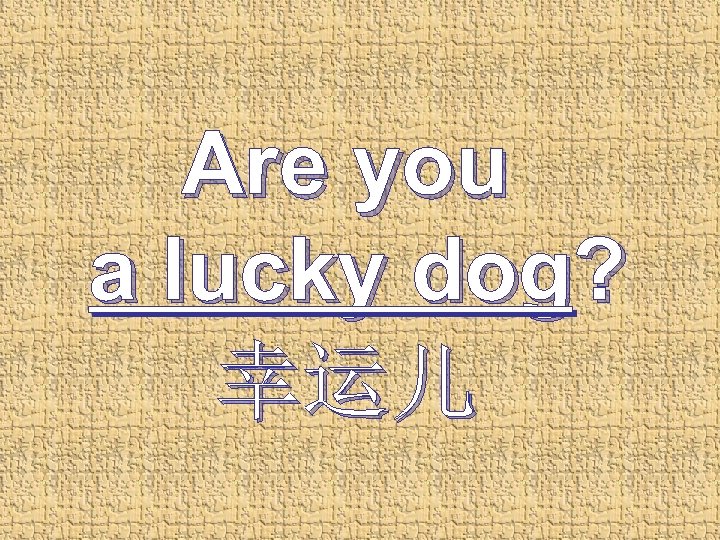 Are you a lucky dog? 幸运儿 