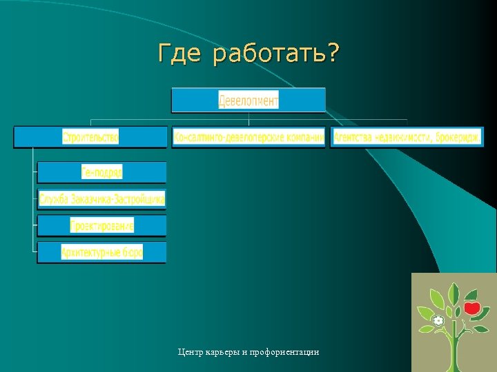 Где работать? Центр карьеры и профориентации 