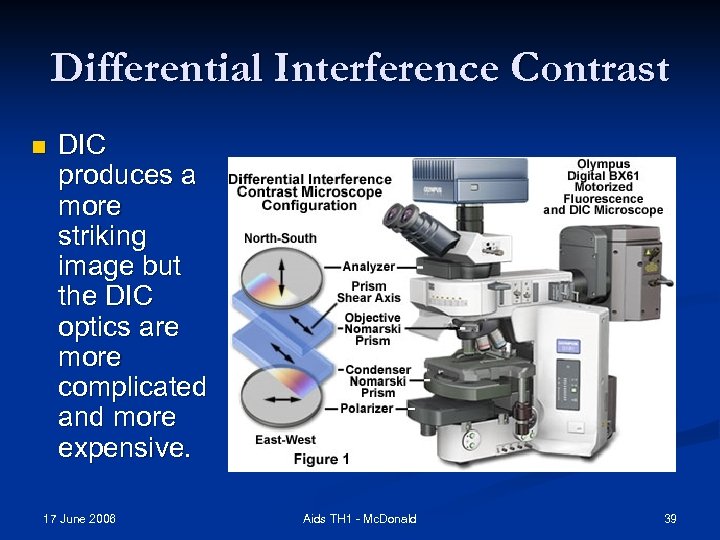 Differential Interference Contrast n DIC produces a more striking image but the DIC optics