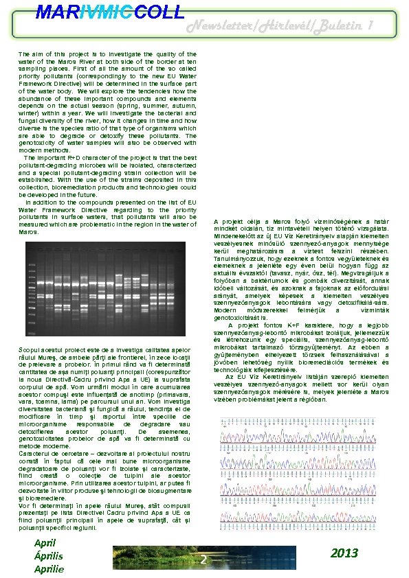 MARIVMICCOLL Newsletter/Hírlevél/Buletin 1 The aim of this project is to investigate the quality of