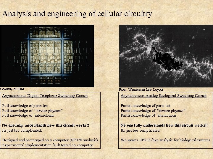 Analysis and engineering of cellular circuitry Courtesy of IBM From: Wasserman Lab, Loyola Asynchronous