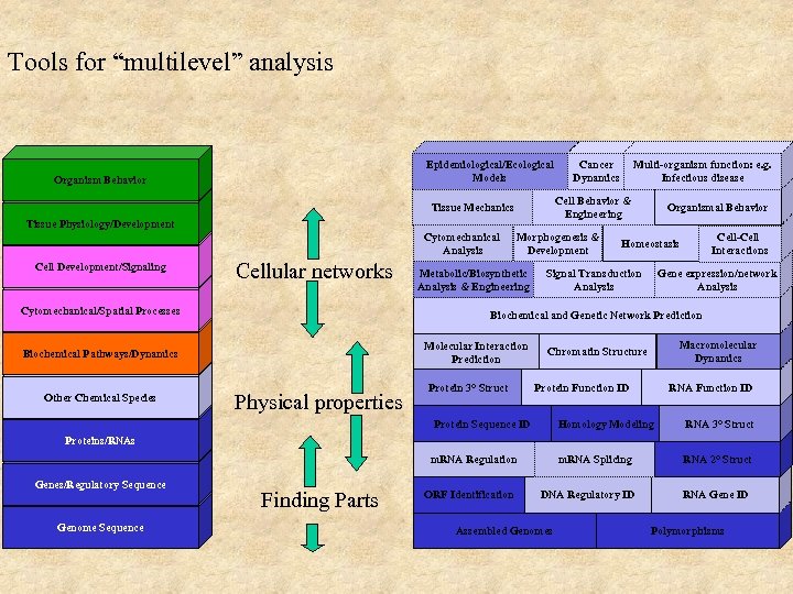 Tools for “multilevel” analysis Epidemiological/Ecological Models Organism Behavior Tissue Physiology/Development Cell Development/Signaling Cellular networks