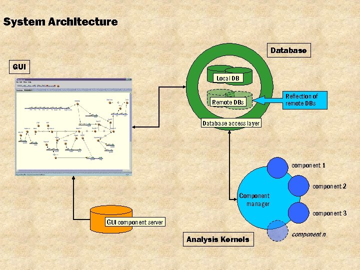 System Architecture Database GUI Local DB Remote DBs Reflection of remote DBs Database access