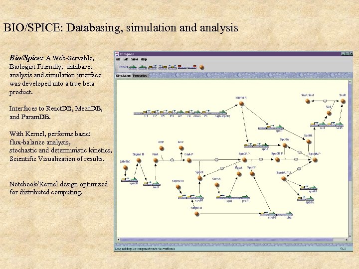 BIO/SPICE: Databasing, simulation and analysis Bio/Spice: A Web-Servable, Biologist-Friendly, database, analysis and simulation interface