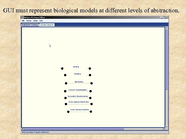 GUI must represent biological models at different levels of abstraction. 