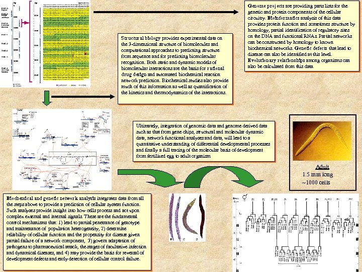 Structural biology provides experimental data on the 3 -dimensional structure of biomolecules and computational