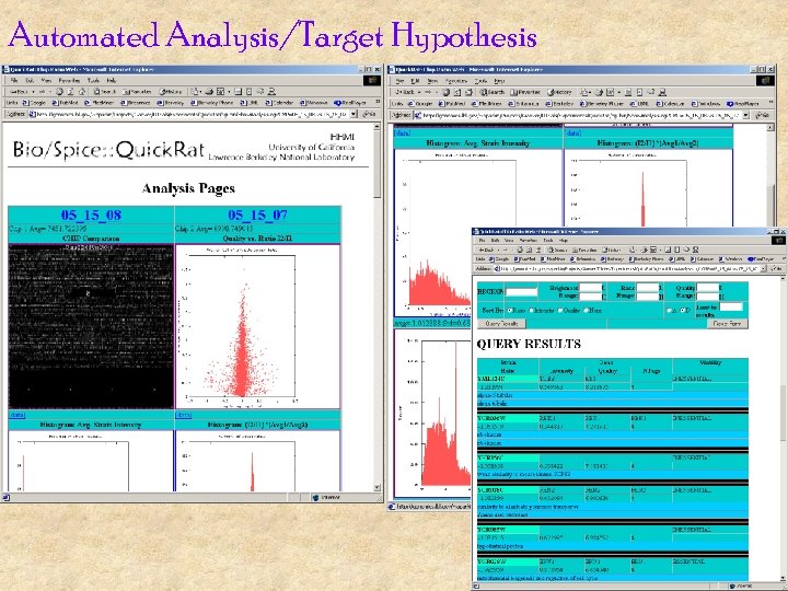 Automated Analysis/Target Hypothesis 