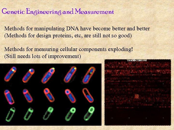 Genetic Engineering and Measurement Methods for manipulating DNA have become better and better (Methods