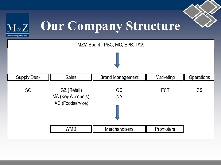 Our Company Structure 