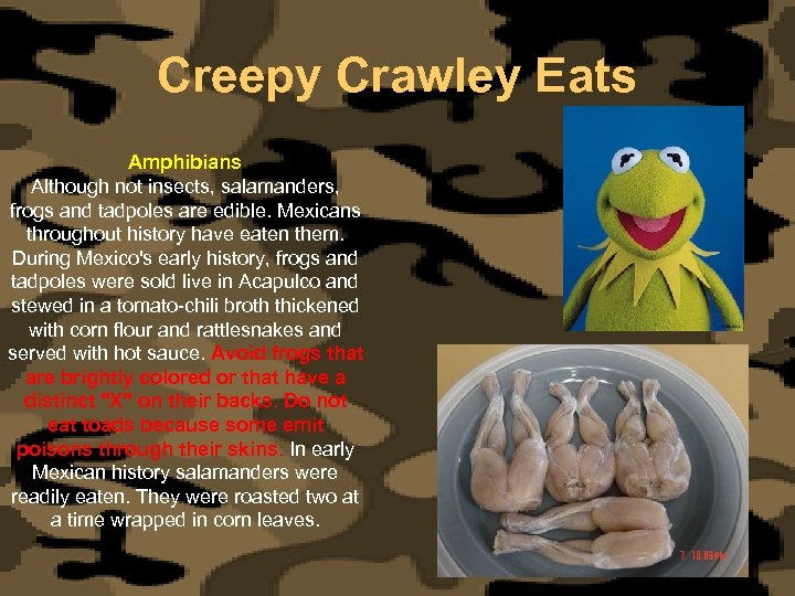 Creepy Crawley Eats Amphibians Although not insects, salamanders, frogs and tadpoles are edible. Mexicans