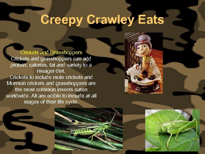 Creepy Crawley Eats Crickets and Grasshoppers Crickets and grasshoppers can add protein, calories, fat