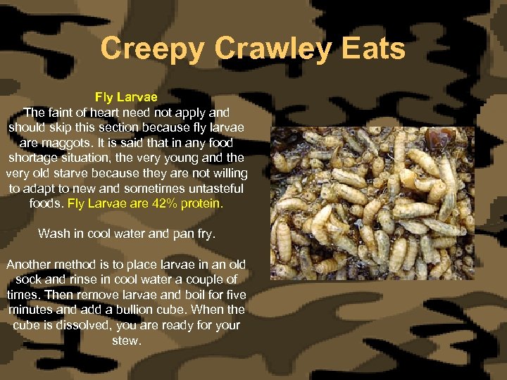 Creepy Crawley Eats Fly Larvae The faint of heart need not apply and should