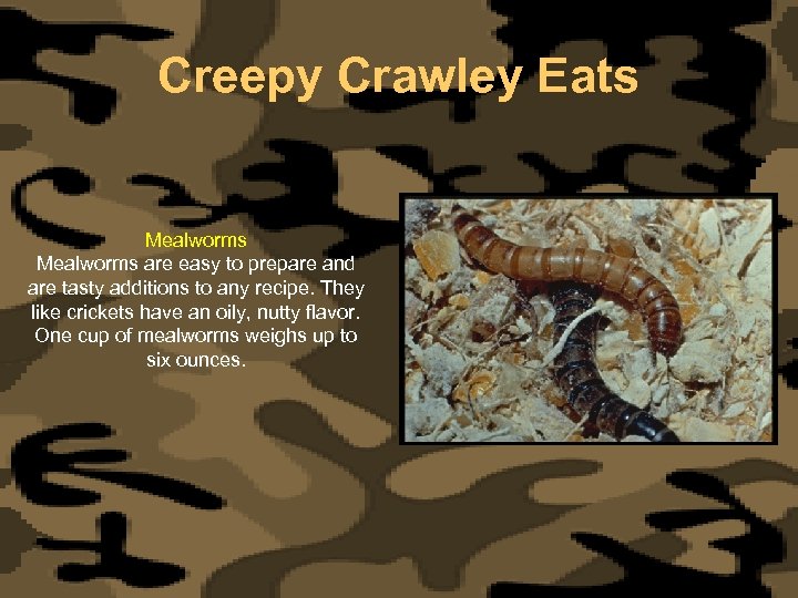 Creepy Crawley Eats Mealworms are easy to prepare and are tasty additions to any