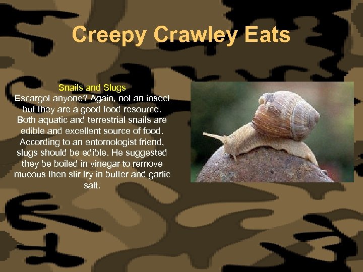 Creepy Crawley Eats Snails and Slugs Escargot anyone? Again, not an insect but they