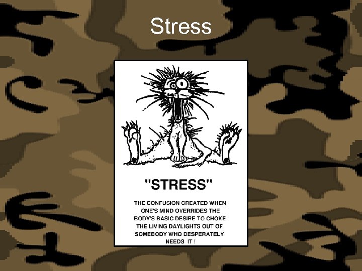 Stress 