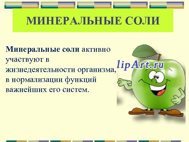 МИНЕРАЛЬНЫЕ СОЛИ Минеральные соли активно участвуют в жизнедеятельности организма, в нормализации функций важнейших его